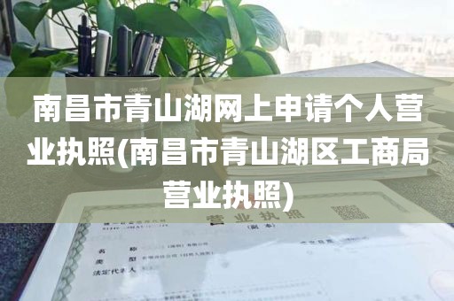南昌市青山湖网上申请个人营业执照(南昌市青山湖区工商局营业执照)