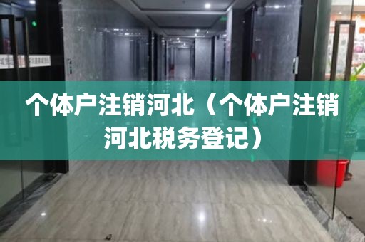 个体户注销河北（个体户注销河北税务登记）