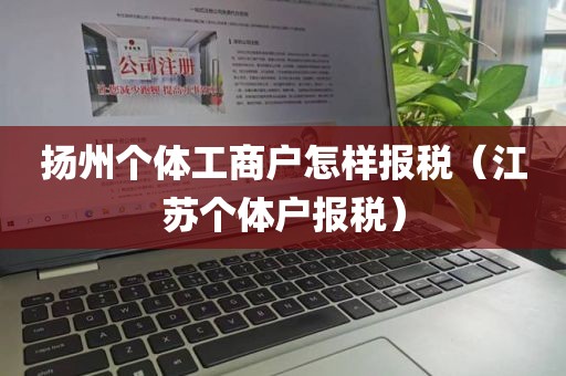 扬州个体工商户怎样报税（江苏个体户报税）