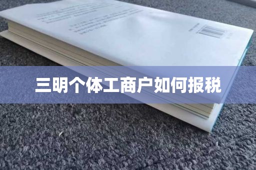 三明个体工商户如何报税