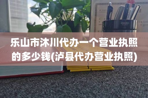 乐山市沐川代办一个营业执照的多少钱(泸县代办营业执照)