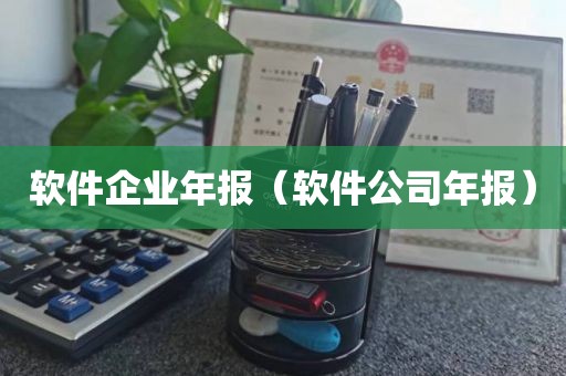 软件企业年报（软件公司年报）