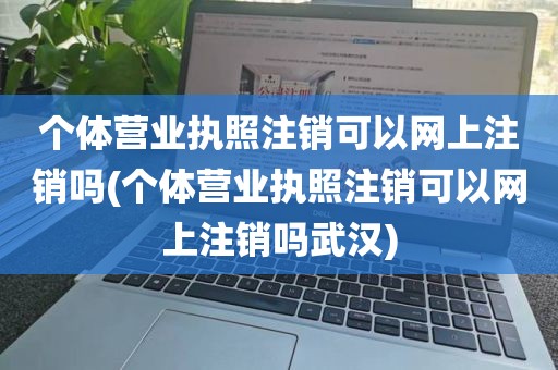 个体营业执照注销可以网上注销吗(个体营业执照注销可以网上注销吗武汉)