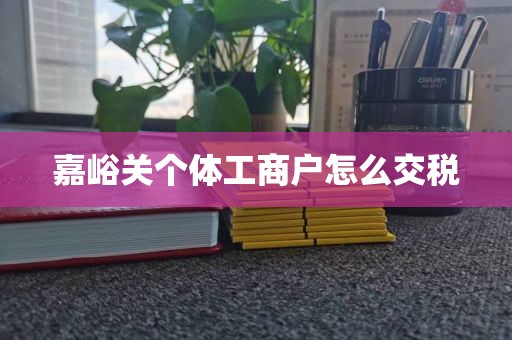 嘉峪关个体工商户怎么交税