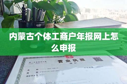 内蒙古个体工商户年报网上怎么申报