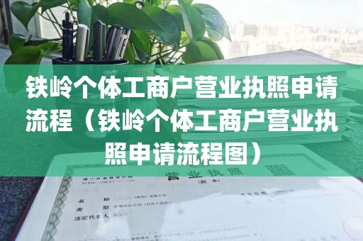 铁岭个体工商户营业执照申请流程（铁岭个体工商户营业执照申请流程图）
