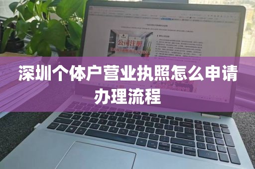 深圳个体户营业执照怎么申请办理流程