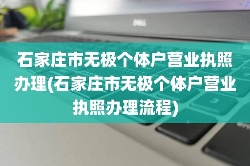 石家庄市无极个体户营业执照办理(石家庄市无极个体户营业执照办理流程)