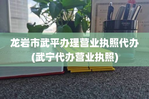 龙岩市武平办理营业执照代办(武宁代办营业执照)