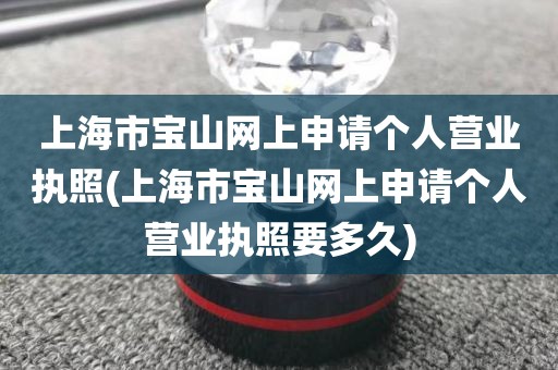 上海市宝山网上申请个人营业执照(上海市宝山网上申请个人营业执照要多久)