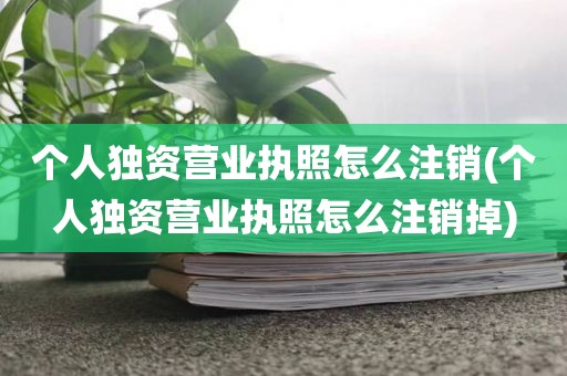 个人独资营业执照怎么注销(个人独资营业执照怎么注销掉)