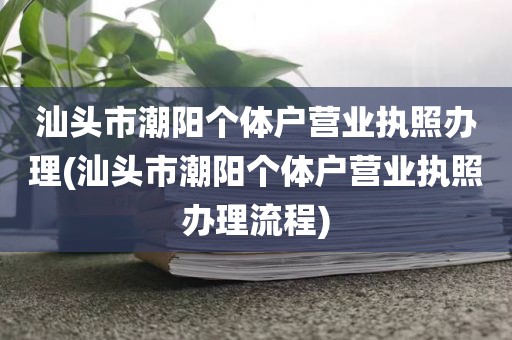 汕头市潮阳个体户营业执照办理(汕头市潮阳个体户营业执照办理流程)