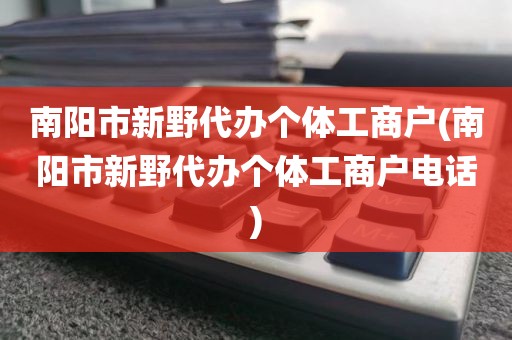 南阳市新野代办个体工商户(南阳市新野代办个体工商户电话)