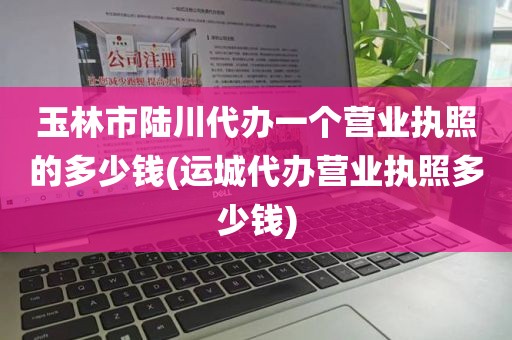 玉林市陆川代办一个营业执照的多少钱(运城代办营业执照多少钱)
