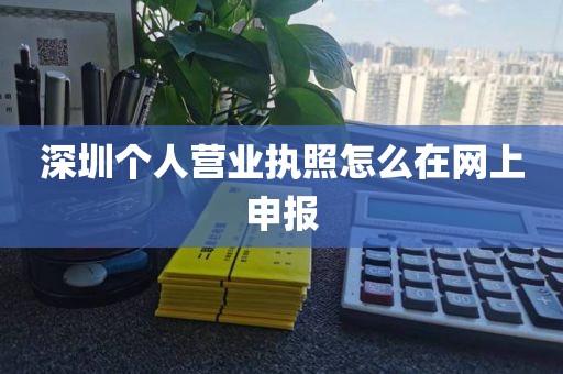 深圳个人营业执照怎么在网上申报