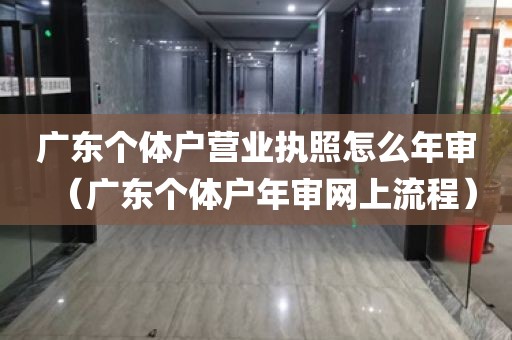 广东个体户营业执照怎么年审（广东个体户年审网上流程）