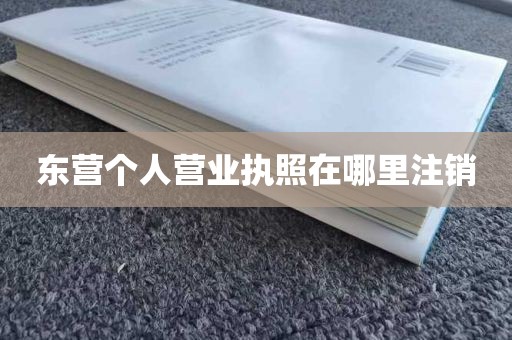 东营个人营业执照在哪里注销