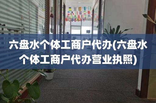 六盘水个体工商户代办(六盘水个体工商户代办营业执照)