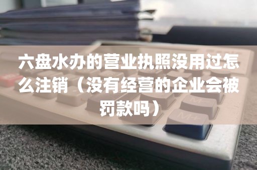 六盘水办的营业执照没用过怎么注销（没有经营的企业会被罚款吗）