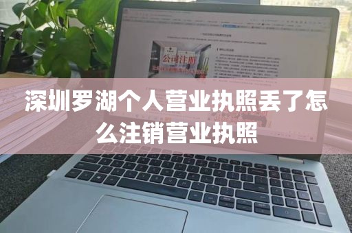 深圳罗湖个人营业执照丢了怎么注销营业执照