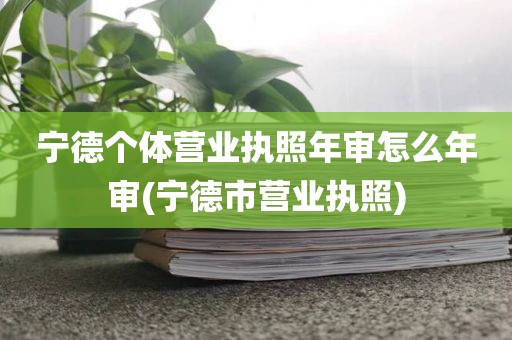 宁德个体营业执照年审怎么年审(宁德市营业执照)
