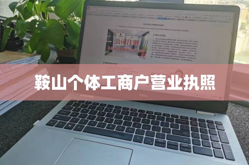 鞍山个体工商户营业执照