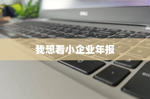 我想看小企业年报