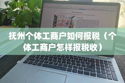 抚州个体工商户如何报税（个体工商户怎样报税收）
