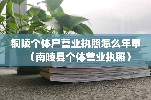 铜陵个体户营业执照怎么年审（南陵县个体营业执照）
