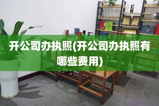 开公司办执照(开公司办执照有哪些费用)