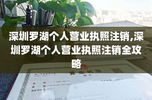 深圳罗湖个人营业执照注销,深圳罗湖个人营业执照注销全攻略