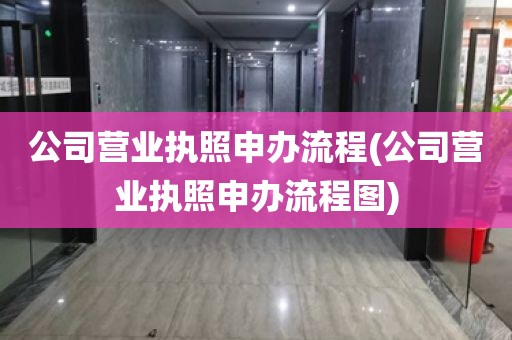 公司营业执照申办流程(公司营业执照申办流程图)