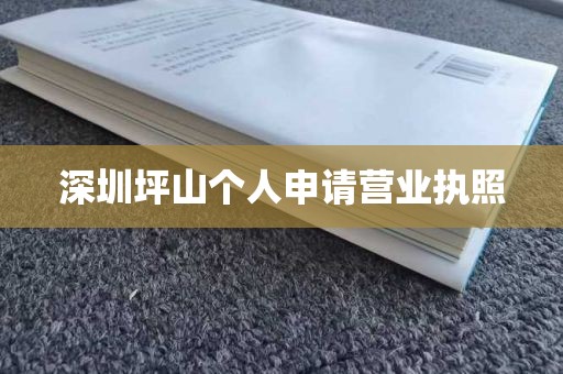深圳坪山个人申请营业执照