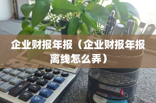 企业财报年报（企业财报年报离线怎么弄）