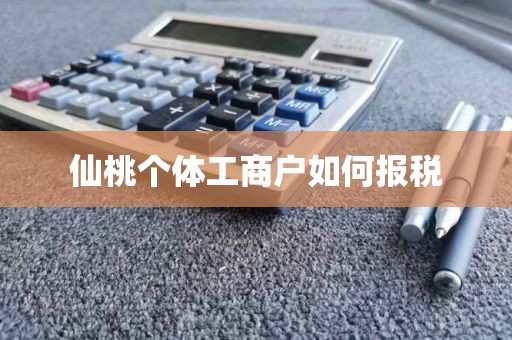 仙桃个体工商户如何报税