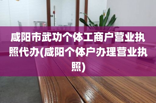 咸阳市武功个体工商户营业执照代办(咸阳个体户办理营业执照)