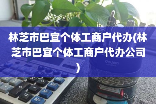 林芝市巴宜个体工商户代办(林芝市巴宜个体工商户代办公司)