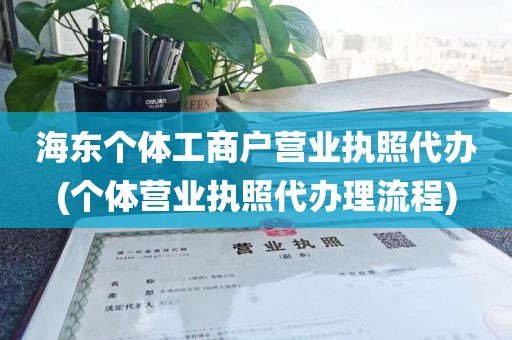 海东个体工商户营业执照代办(个体营业执照代办理流程)