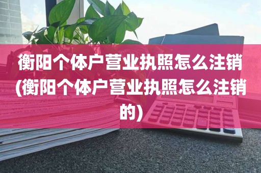 衡阳个体户营业执照怎么注销(衡阳个体户营业执照怎么注销的)