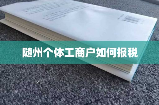 随州个体工商户如何报税