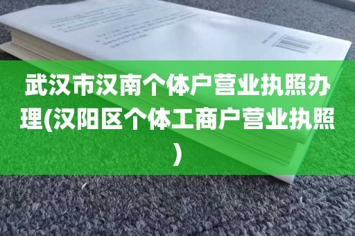 武汉市汉南个体户营业执照办理(汉阳区个体工商户营业执照)