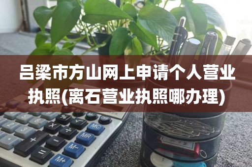 吕梁市方山网上申请个人营业执照(离石营业执照哪办理)