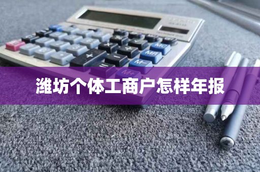 潍坊个体工商户怎样年报