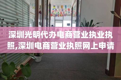 深圳光明代办电商营业执业执照,深圳电商营业执照网上申请