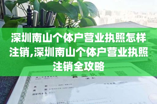 深圳南山个体户营业执照怎样注销,深圳南山个体户营业执照注销全攻略