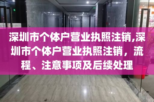深圳市个体户营业执照注销,深圳市个体户营业执照注销，流程、注意事项及后续处理