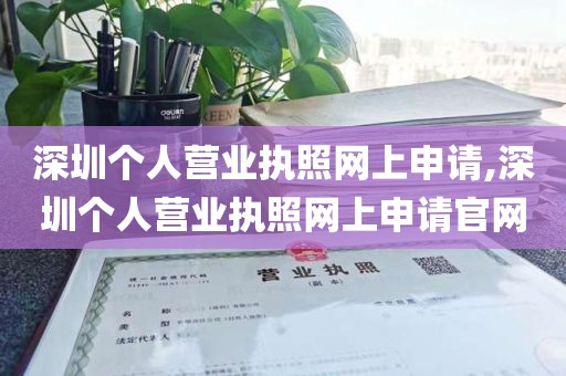 深圳个人营业执照网上申请,深圳个人营业执照网上申请官网