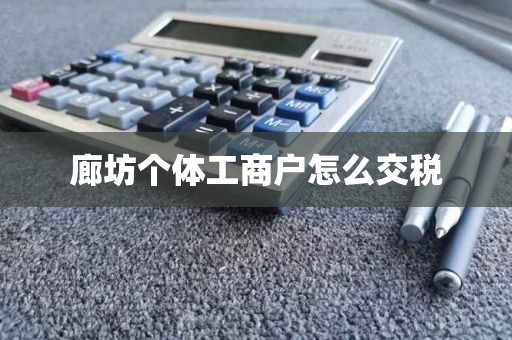 廊坊个体工商户怎么交税