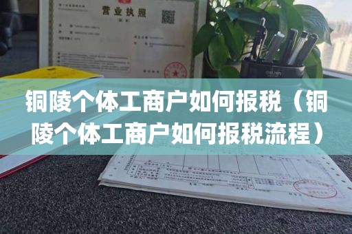 铜陵个体工商户如何报税（铜陵个体工商户如何报税流程）