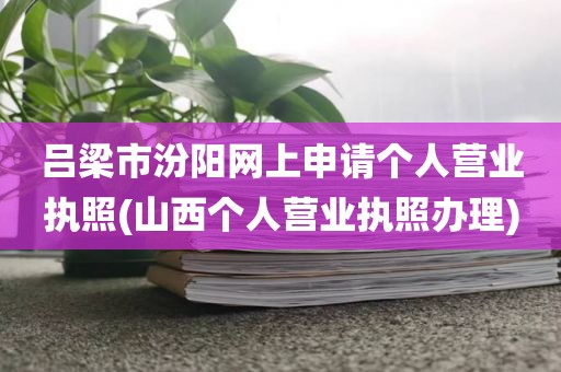 吕梁市汾阳网上申请个人营业执照(山西个人营业执照办理)